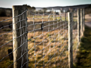 Multi-Site Ministries: Fences and Freedom